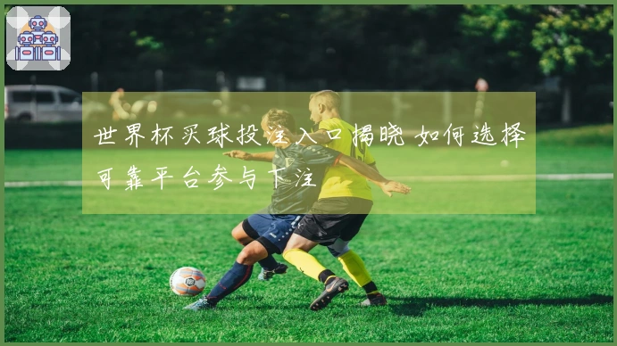 世界杯买球投注入口揭晓 如何选择可靠平台参与下注
