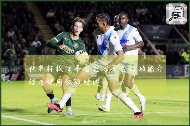 世界杯投注平台官方平台的功能介绍与使用体验综述