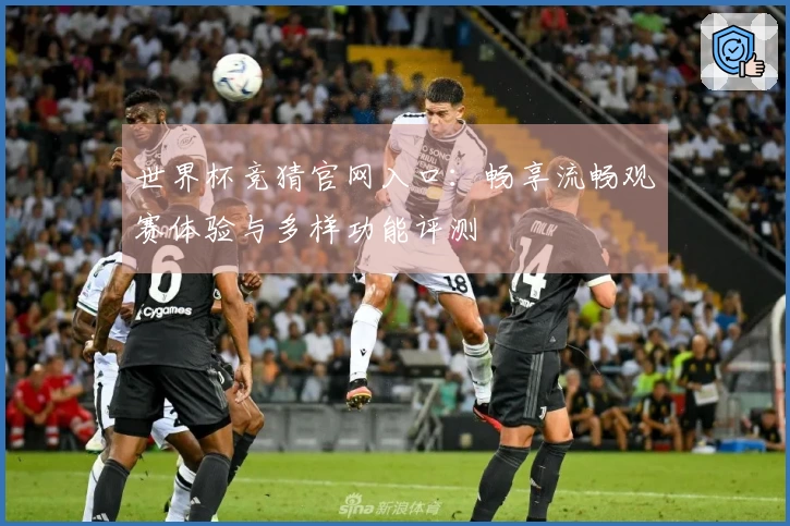 世界杯竞猜官网入口：畅享流畅观赛体验与多样功能评测