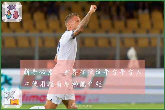 新手必看:世界杯投注平台平台入口使用指南与功能介绍