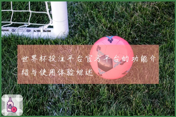世界杯投注平台官方平台的功能介绍与使用体验综述
