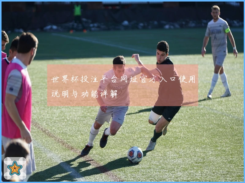 世界杯投注平台网址官方入口使用说明与功能详解