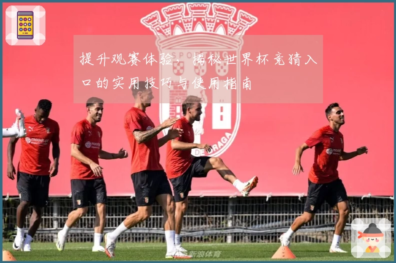 提升观赛体验，揭秘世界杯竞猜入口的实用技巧与使用指南