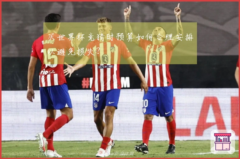 买世界杯竞猜时预算如何合理安排以避免损失？