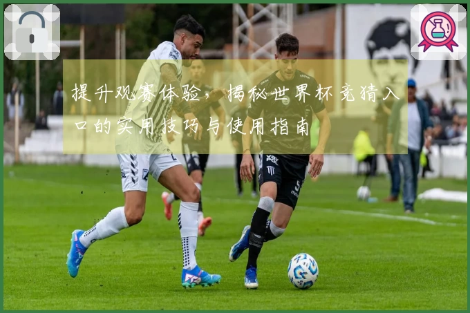 提升观赛体验，揭秘世界杯竞猜入口的实用技巧与使用指南