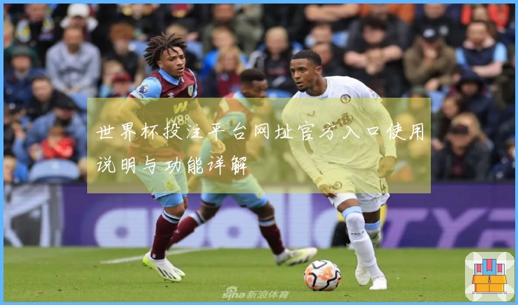 世界杯投注平台网址官方入口使用说明与功能详解